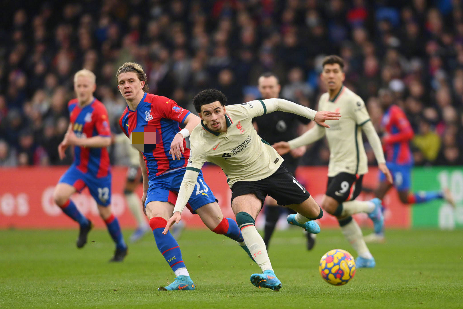 迷在比赛之 迷在比赛之